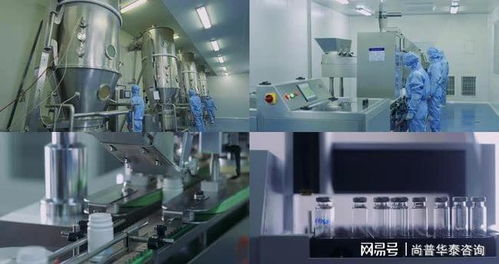 2021年生物試劑產(chǎn)品及技術(shù)服務(wù)市場(chǎng)深度分析 聚焦技術(shù)服務(wù)板塊